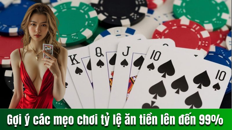 cach choi bai tu lo kho hieu qua voi meo hay